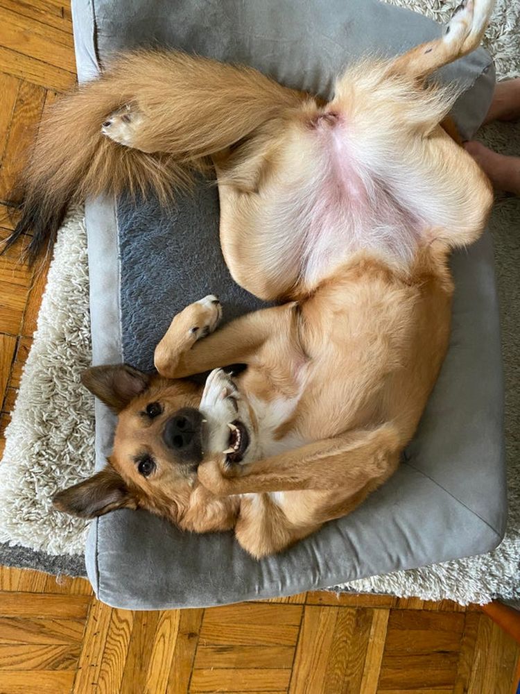 06-13-46-16246179991147406001