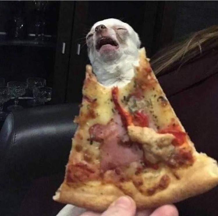 06-13-46-1624618007397402897