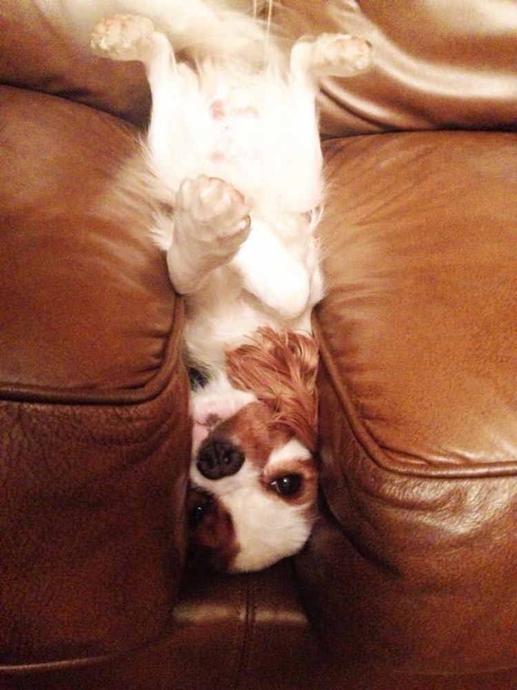 06-13-46-1624618012702625546