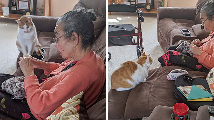 06-13-59-1622804399215003315