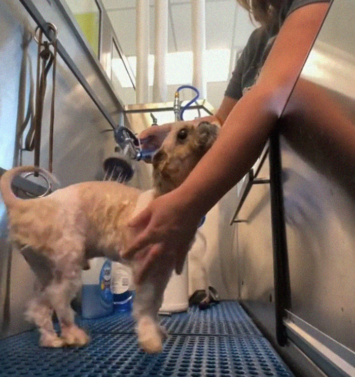 06-14-03-1624273382754782098