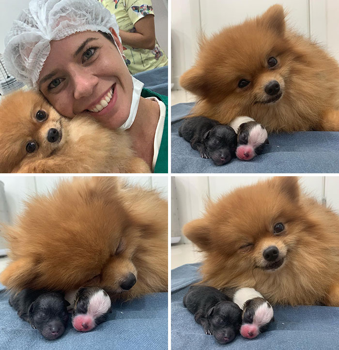 06-14-10-1623150620243982091