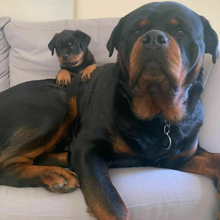 06-14-10-16231506271173749867