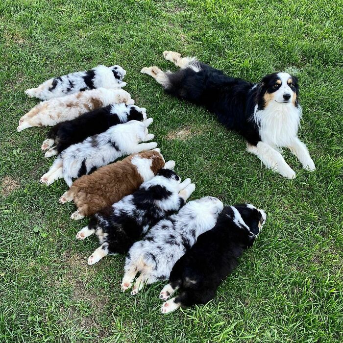 06-14-11-16231507041753030712