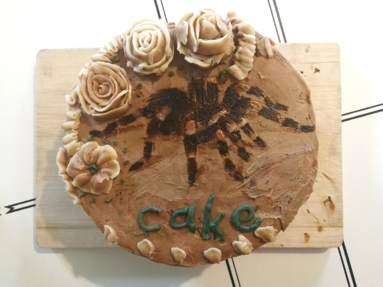 06-14-55-16244493251867464458