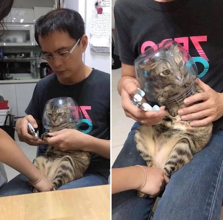 06-14-58-16248815241843763688