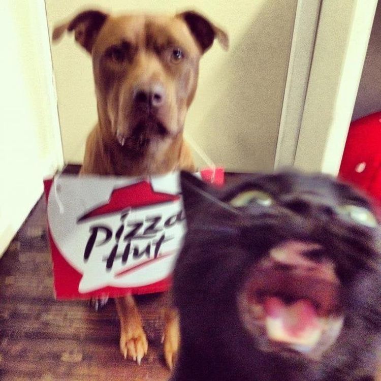 06-14-58-16248815371806442936