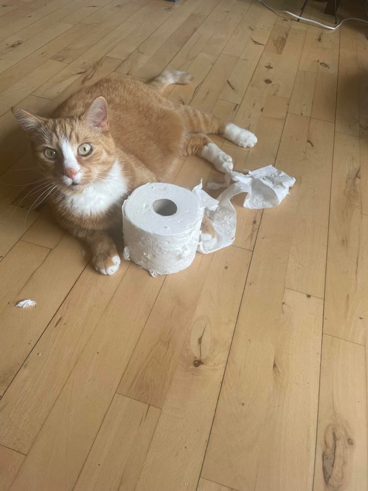 06-14-59-16248815431943223278