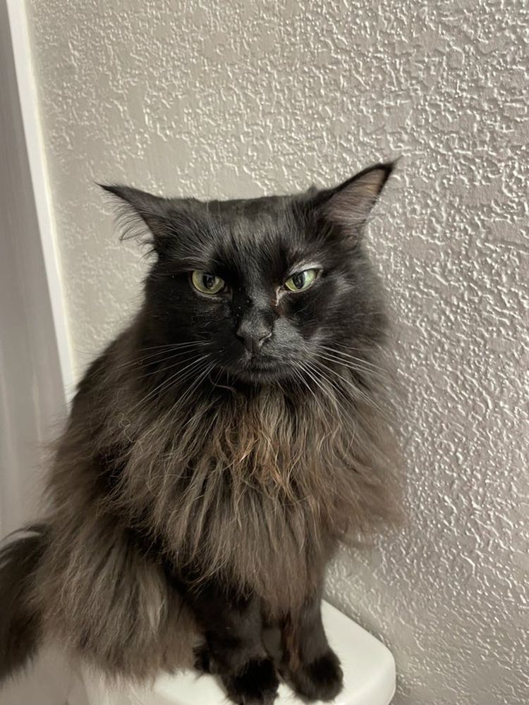 06-14-59-1624881552431124288