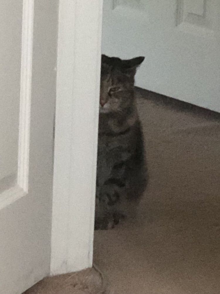 06-14-59-1624881557714647583