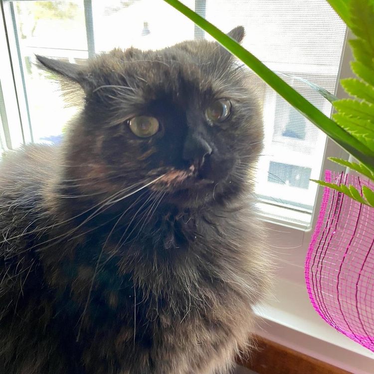 06-14-59-1624881567958663017