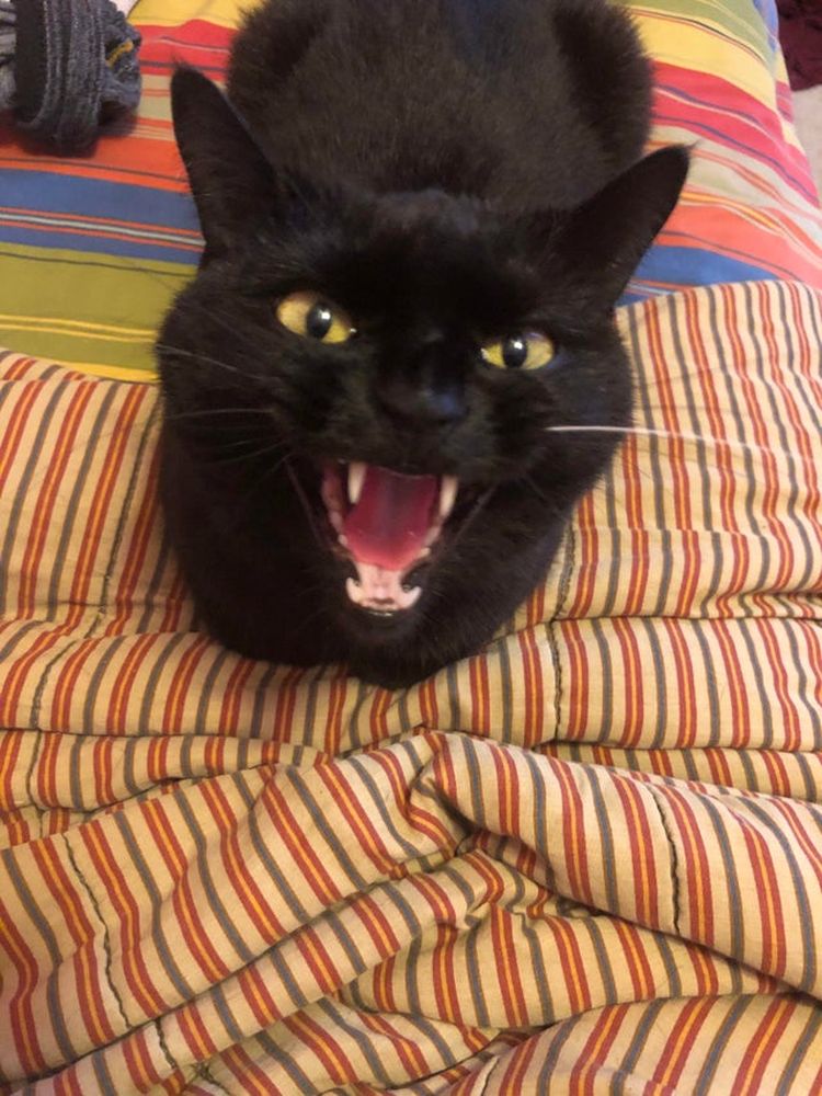 06-14-59-162488158095407801