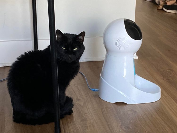 06-14-59-16248815831581863118