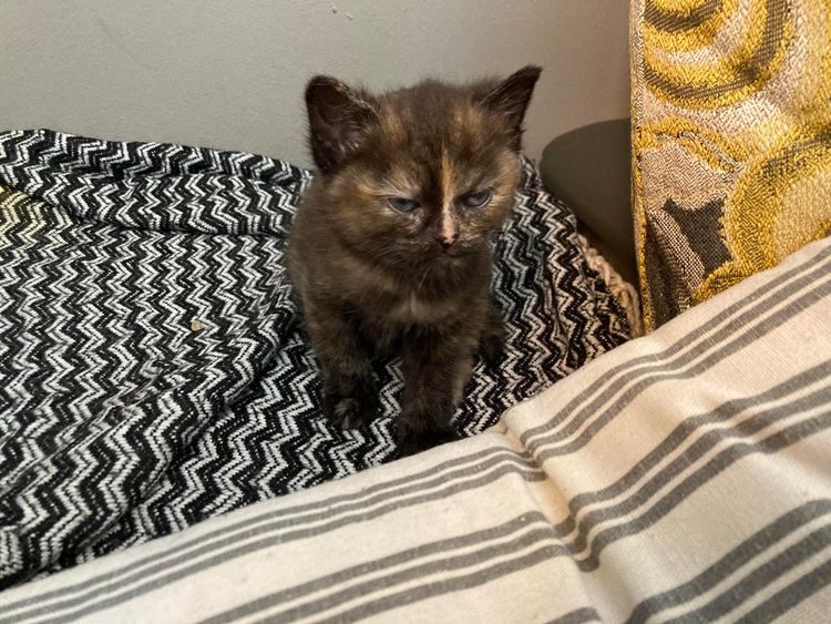 06-14-59-16248815861956179669