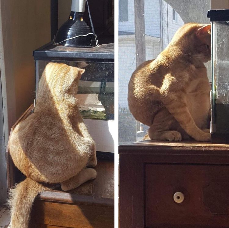 06-15-05-16232403201840599552