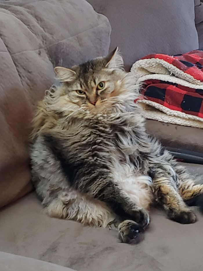 06-15-05-1623240342307393527