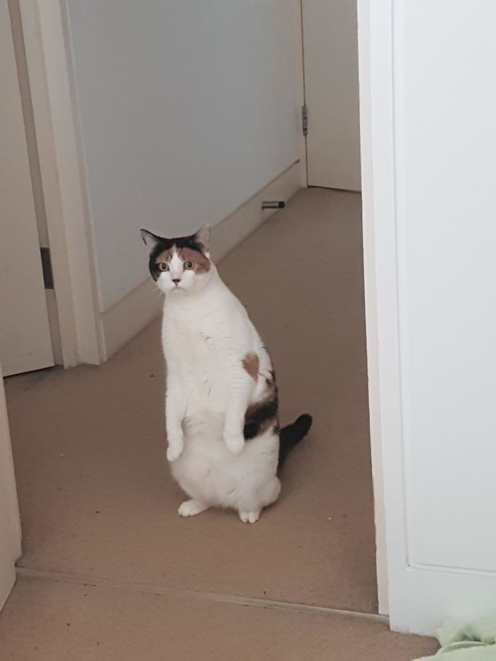 06-15-05-1623240346890519916