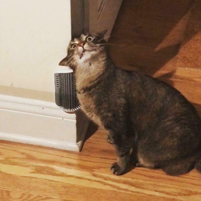 06-15-05-162324035022878842