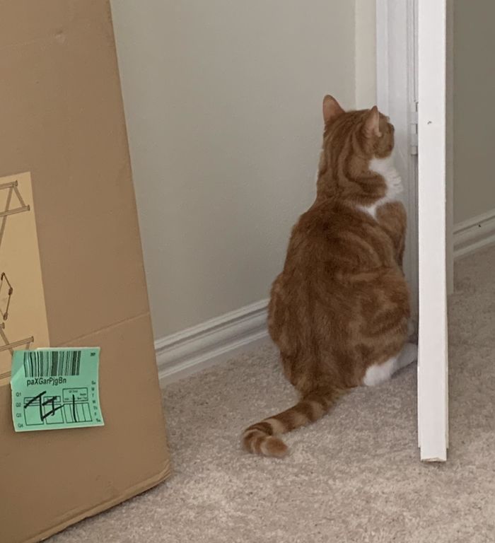 06-15-05-16232403561306877126