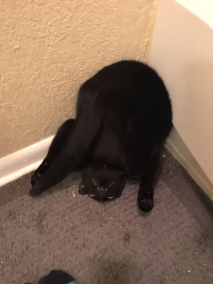 06-15-06-16232403621987441233