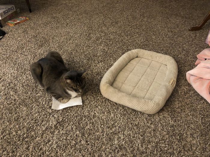 06-15-06-1623240381616636510