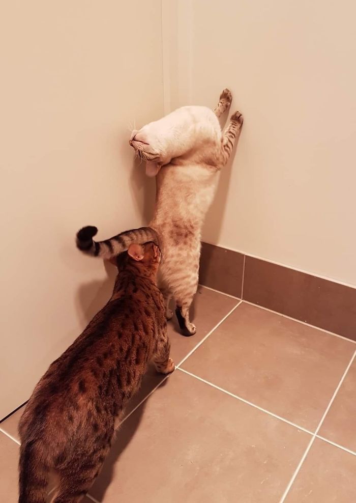 06-15-06-1623240405127710369