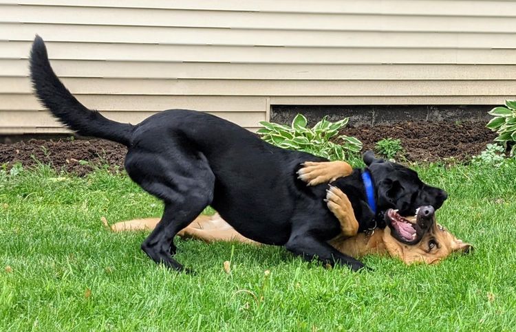 06-15-12-1624536755457664650