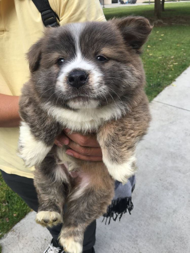 06-15-12-16245367731317148607