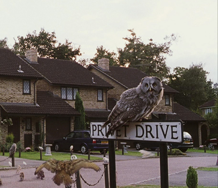 06-15-13-1622808833878988605