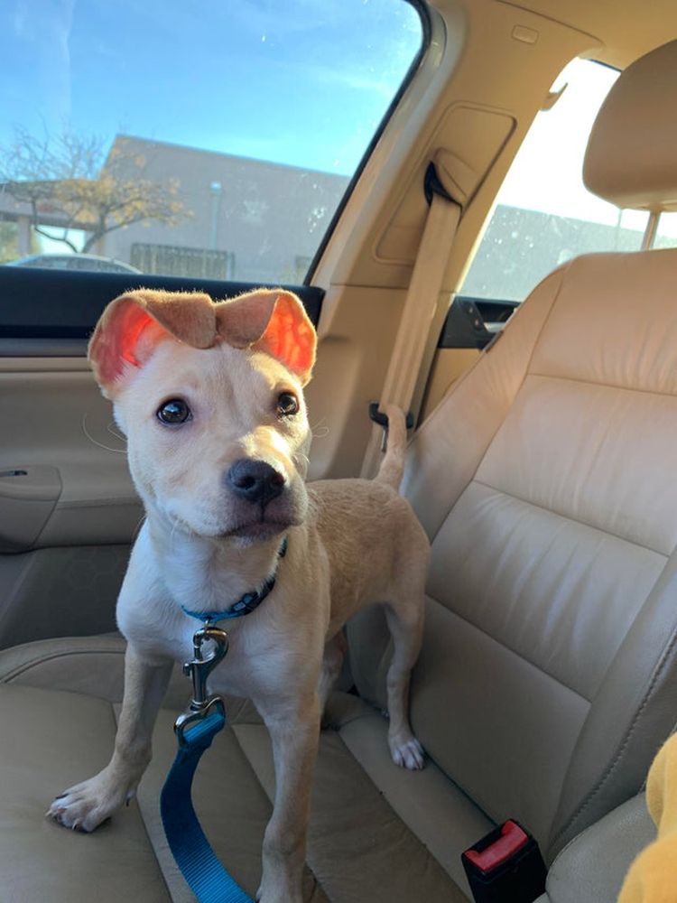 06-15-13-16245367942063642420