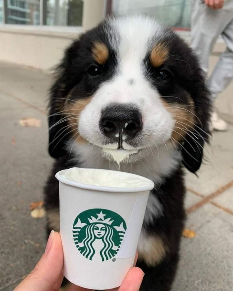 06-15-13-1624536801733923416