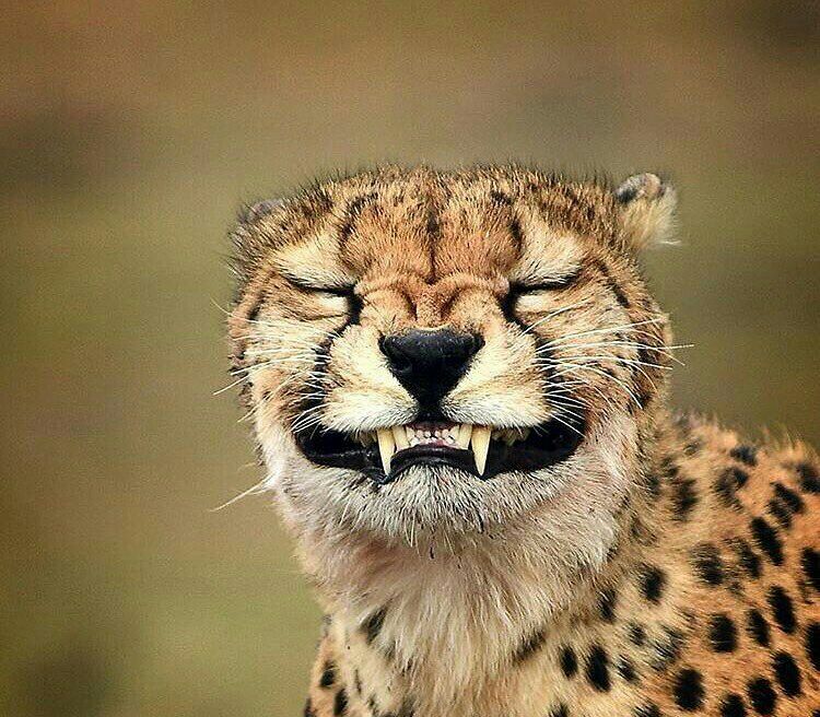 06-15-15-1624536904358771331