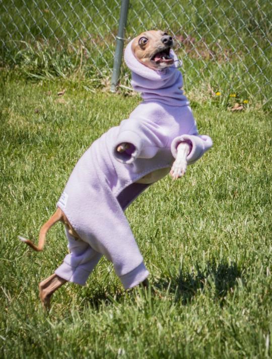 06-15-21-16227228771894627241