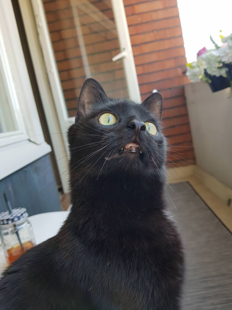 06-15-22-16227229381242262638