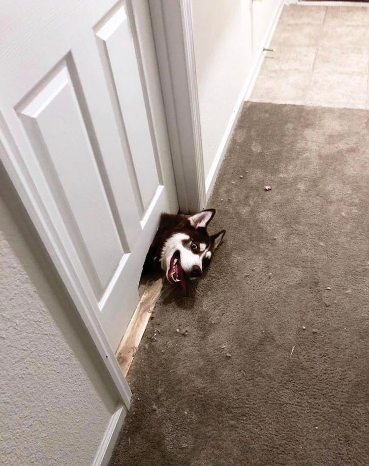 06-15-22-1623846142950948948