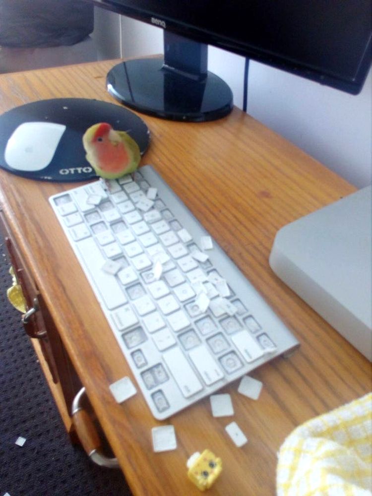 06-15-22-16238461451500943519