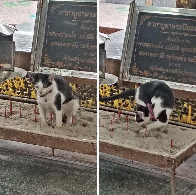 06-15-22-16238461491810823987