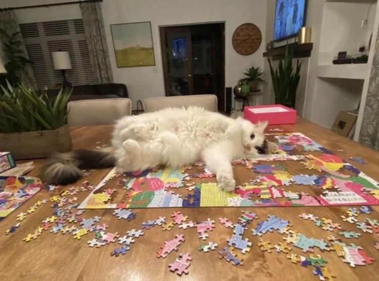 06-15-22-16238461531551123420