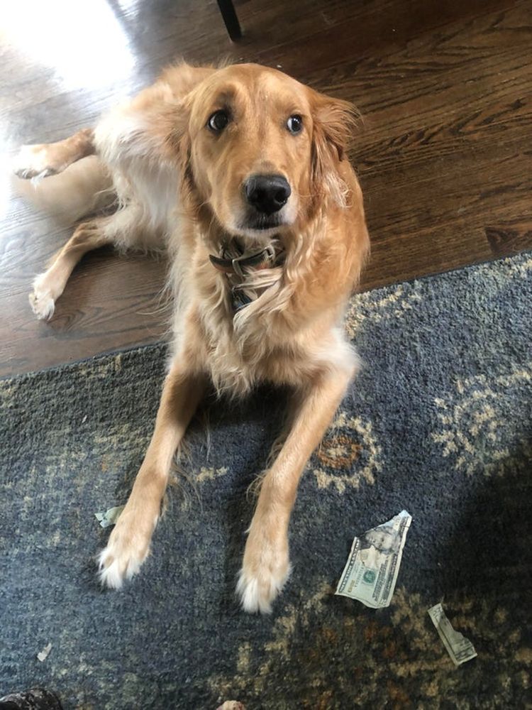 06-15-23-16238461811706697050