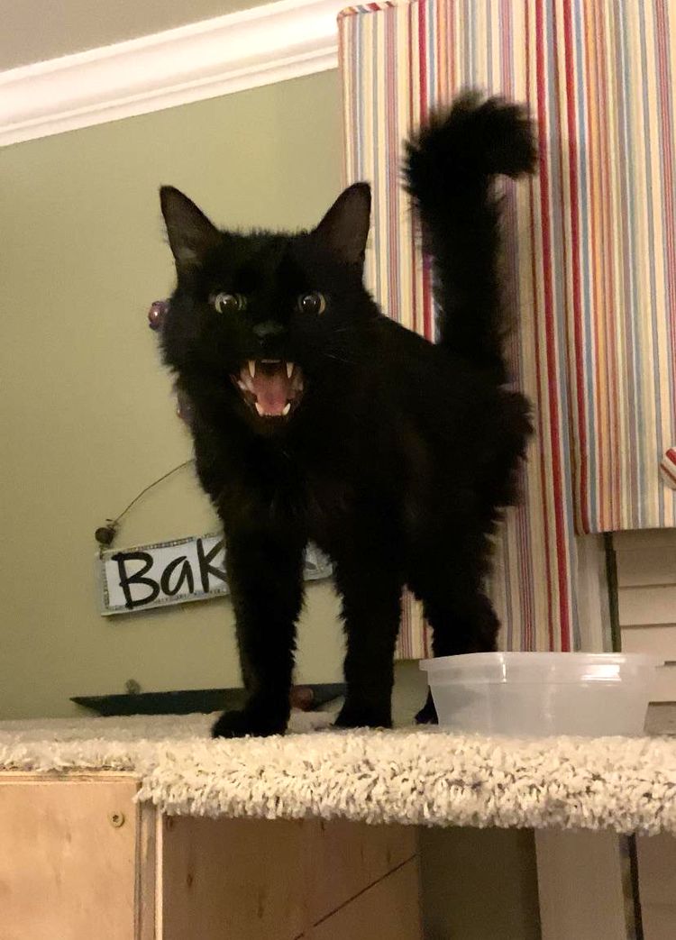 06-15-23-1623846198459754358