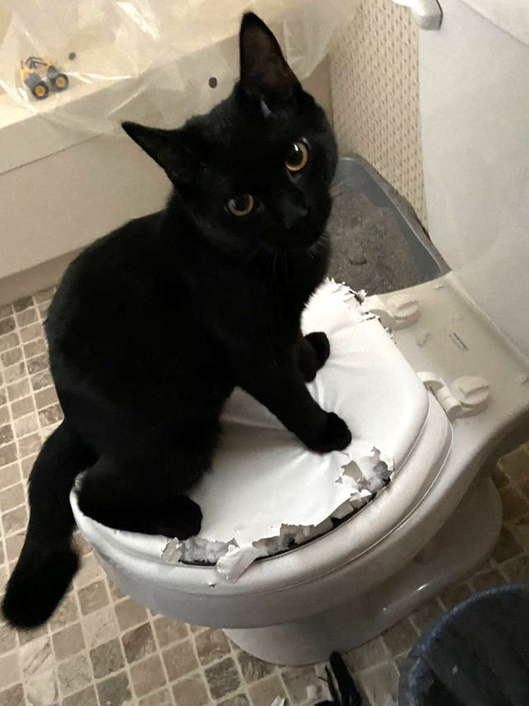 06-15-23-16238462111235476360