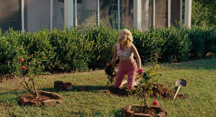 06-15-26-162255040260529434