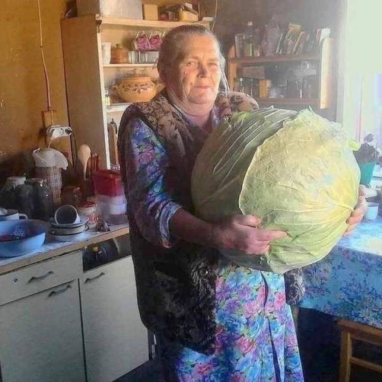 06-15-29-16250561942141641809