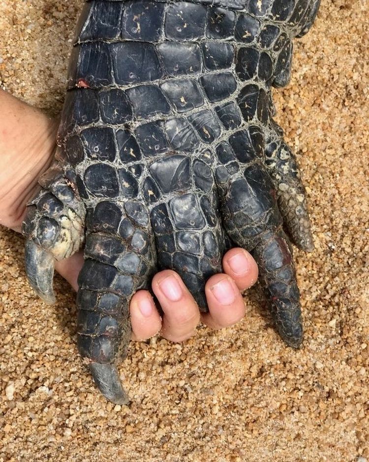 06-15-30-1625056237539159173