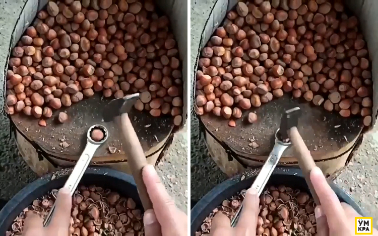 06-15-58-1622984339636202356