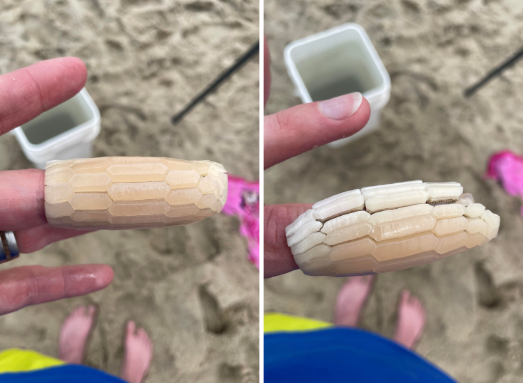 06-16-07-16230712432020361547