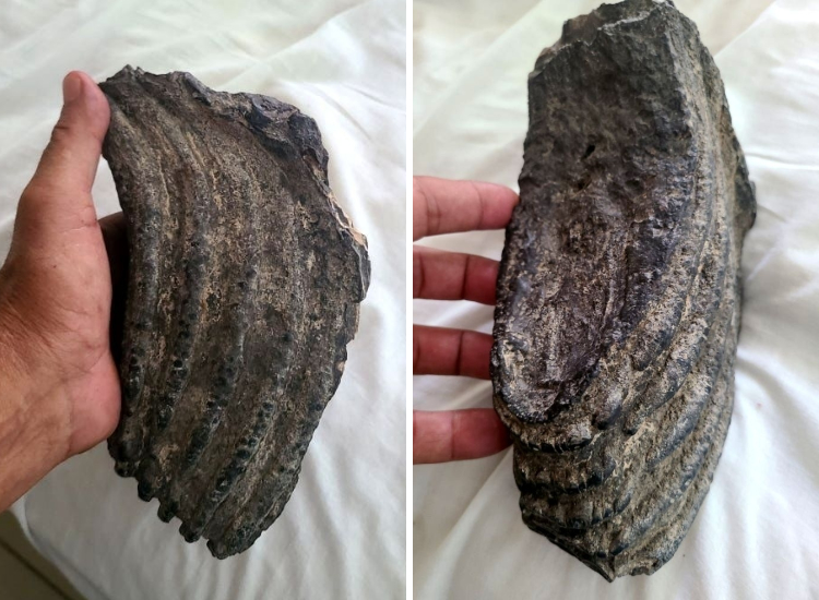 06-16-07-1623071245127096114