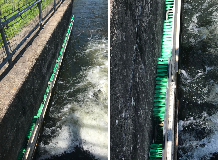 06-16-07-16230712462004458274