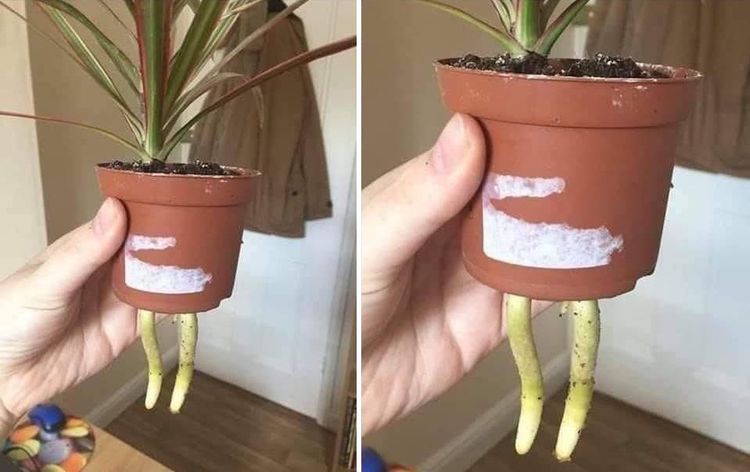 06-16-23-16248866041222923652