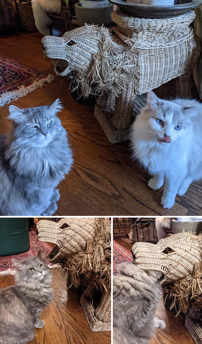 06-16-42-1623332561558313989